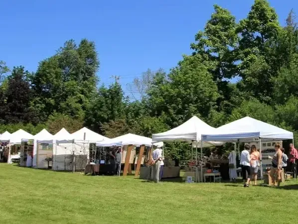 Úsáidí pubaill taispeántais